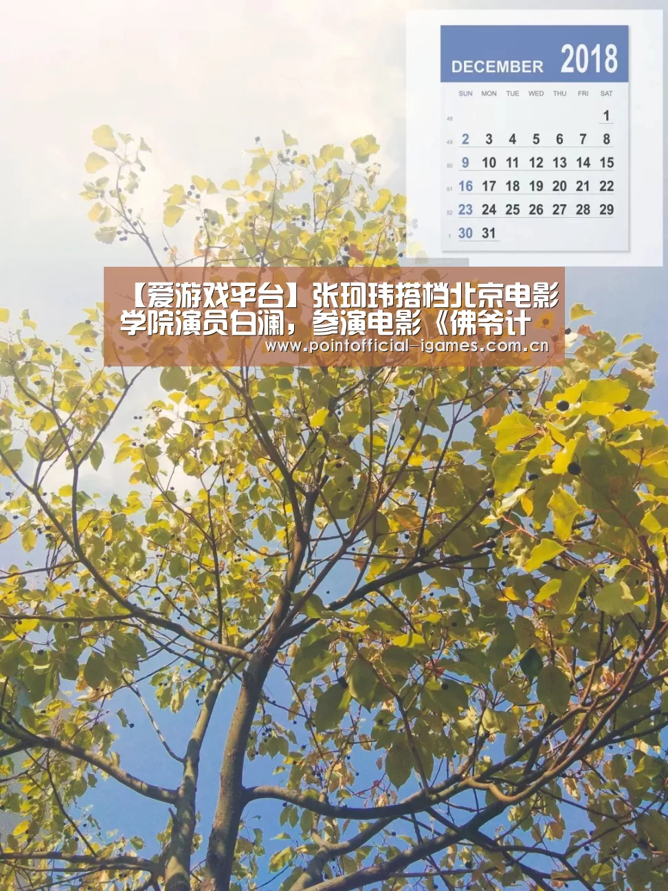 爱游戏下载