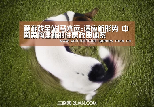 爱游戏全站|马光远:适应新形势 中国需构建新的住房政策体系(图2) 爱游戏下载