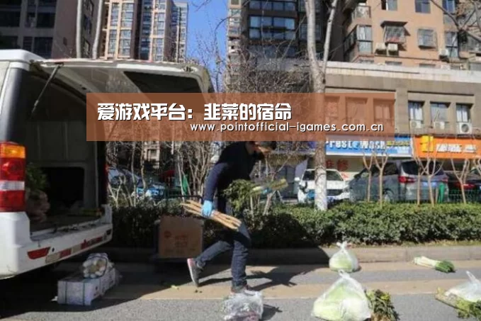 爱游戏平台:韭菜的宿命(图2) 爱游戏全站